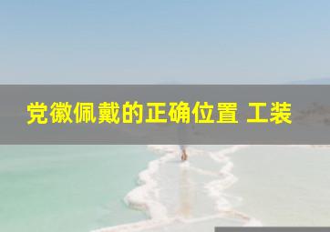 党徽佩戴的正确位置 工装